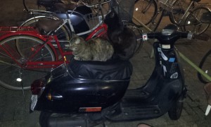 0323良い話　(ビジネス＆廃墟不動産投資で本当に大事なこと) (2)